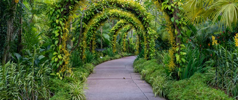 The closer you live to Nature, the happier you will be